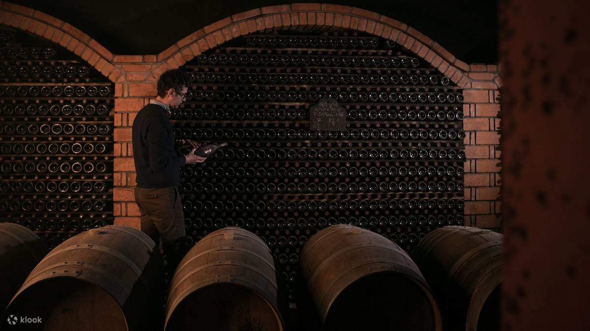 インタラクティブなワイン博物館に展示されている象徴的なモントレゾールの「フロストボトル」を鑑賞しましょう