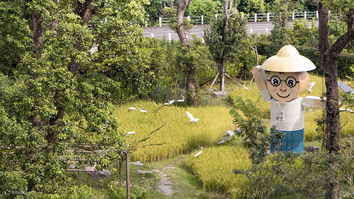Promenez-vous dans le chaleureux campus de Yimi, entouré de verdure
