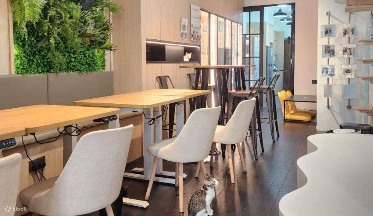 Open lounge with seats to enjoy