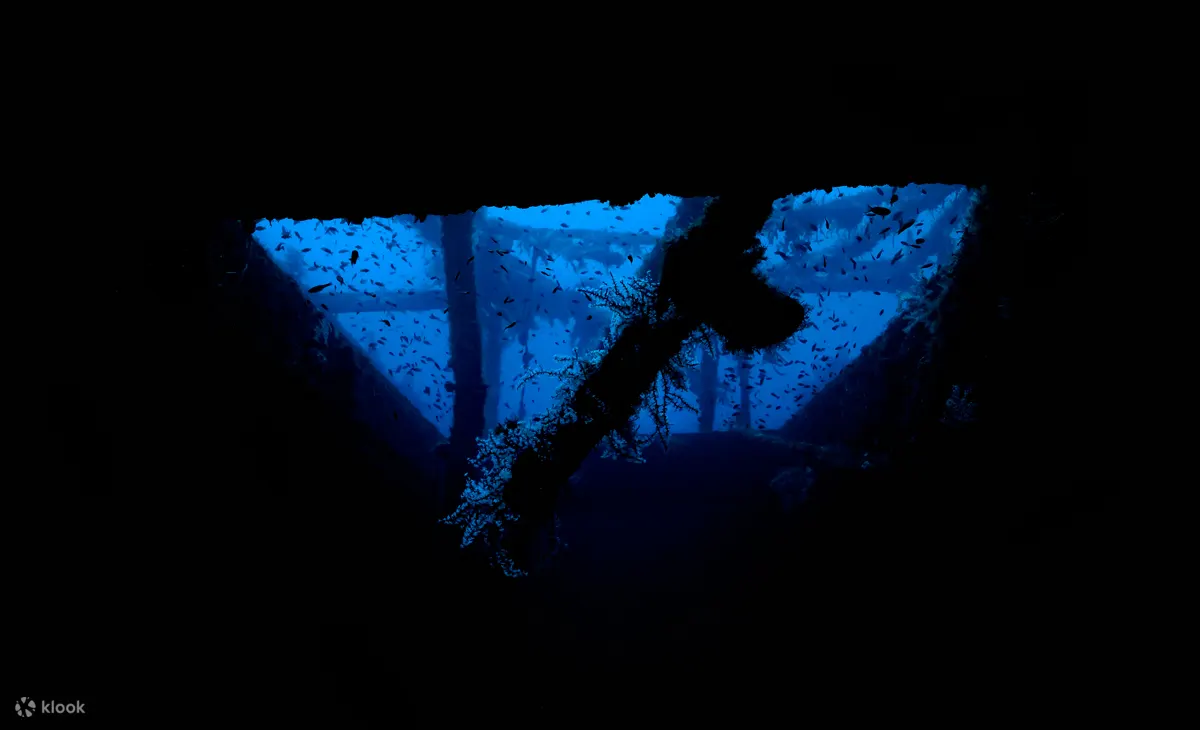 PADI 高级开放水域潜水员