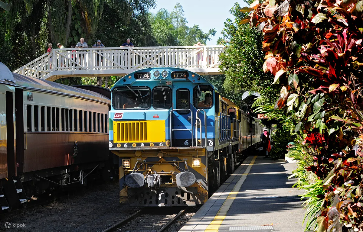 Kuranda Scenic Railway - Kuranda Scenic Railway Train Front View