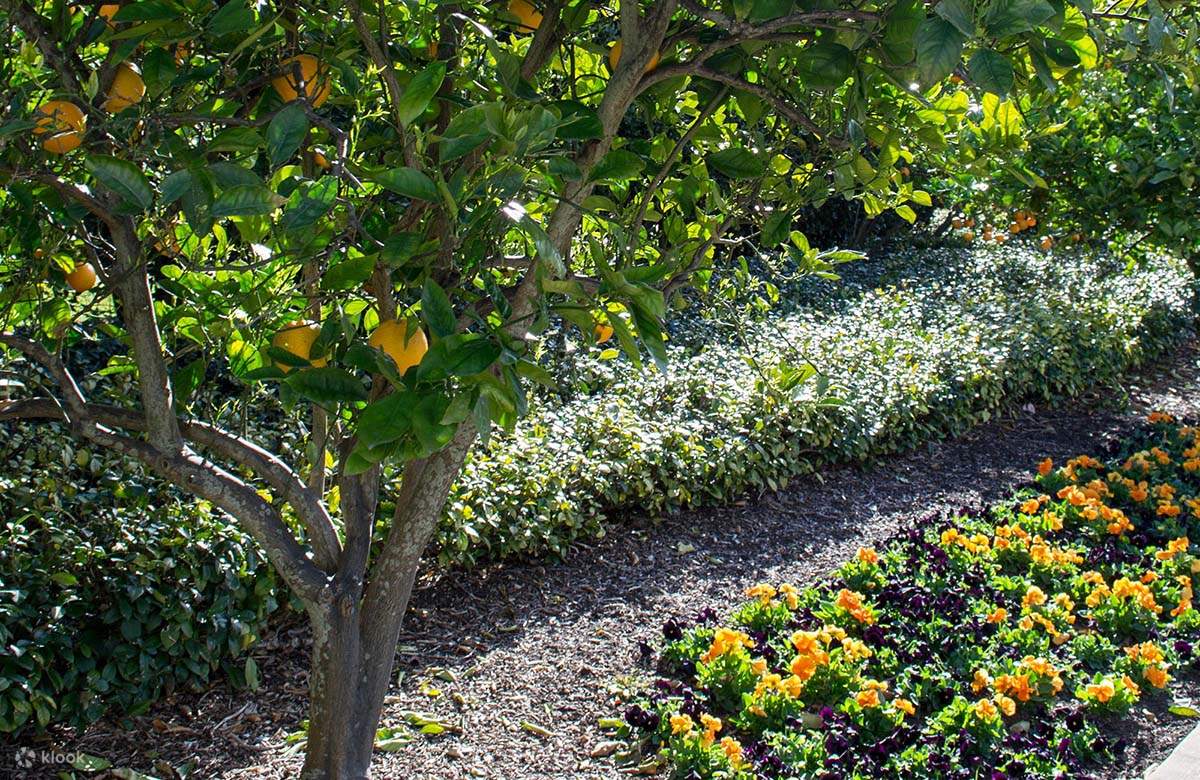 헌터 밸리 정원