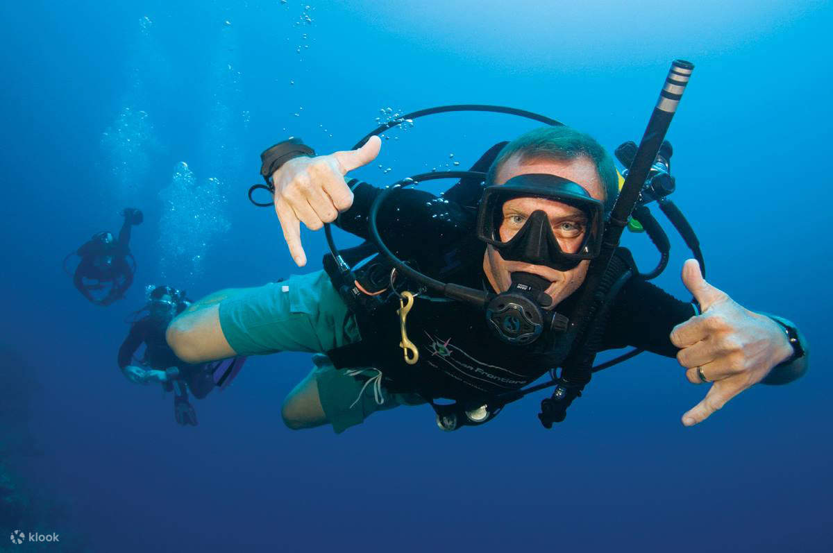 Koh Tao Diving Day Trip from Koh Samui, Indonesia Klook Canada