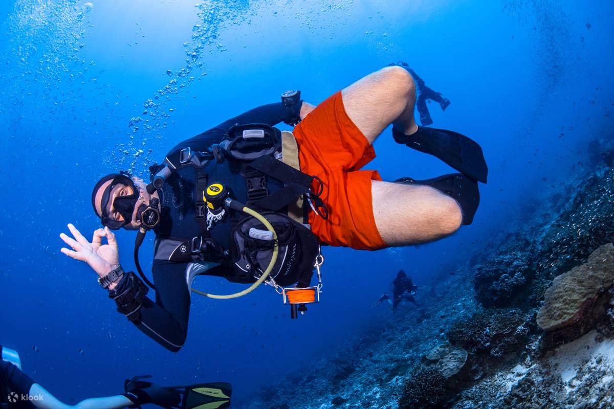 Full day dive trip in pattaya with padi 5 star idc dive adventures
