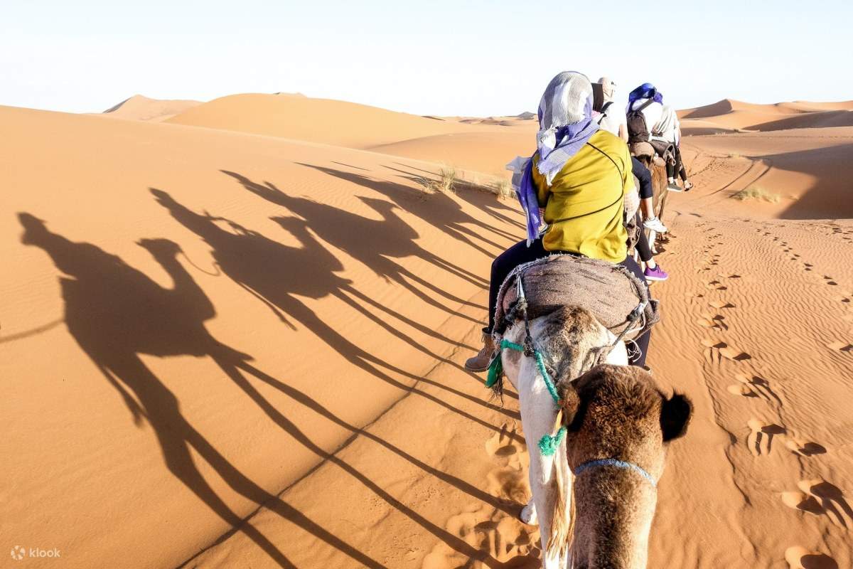 Explore Aswan and Camel Ride - Klook United States