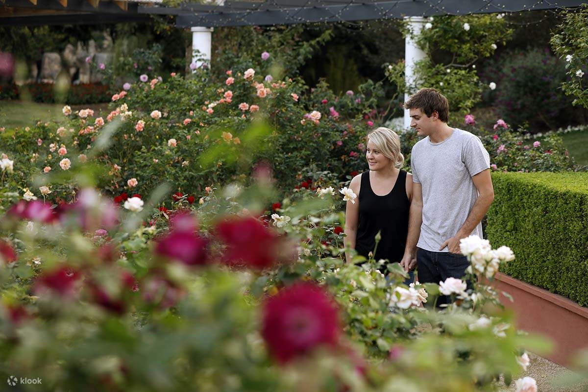 Hunter Valley Garden