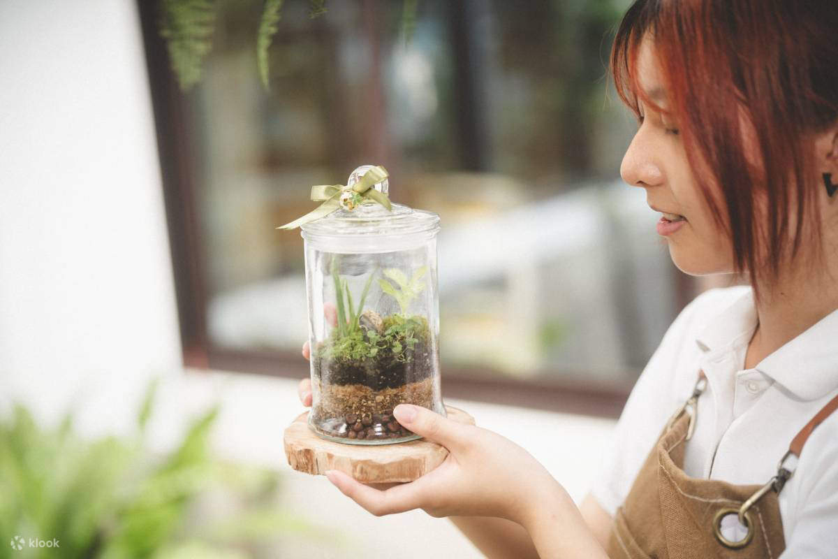 Leaf&Vibe, jenama tanaman di bawah Green Dance International Tourism Hotel, menjemput pelancong untuk membuat botol ekologi yang cantik dengan sentuhan buatan tangan dan kebaikan alam semula jadi, menyumbang kepada kelestarian alam sekitar, dan mewujudkan