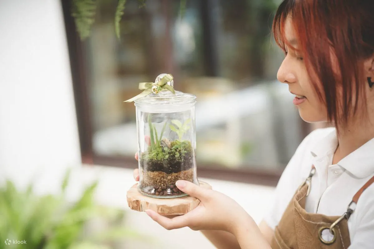绿舞国际观光饭店旗下植栽品牌Leaf&Vibe，以手作的温度与大自然共好，邀旅客手作美丽的生态瓶，为环境永续尽一份心力，打造疗愈植感森活。