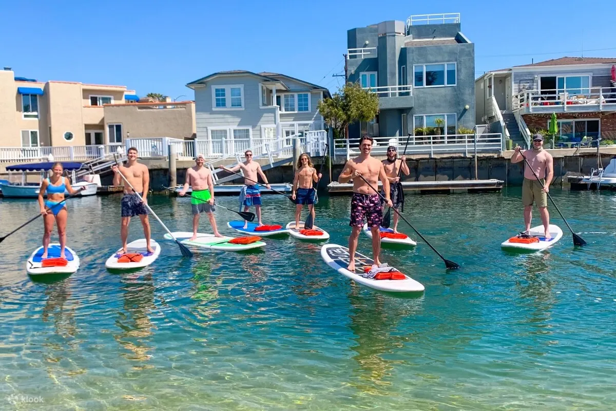 People standing on paddle boards