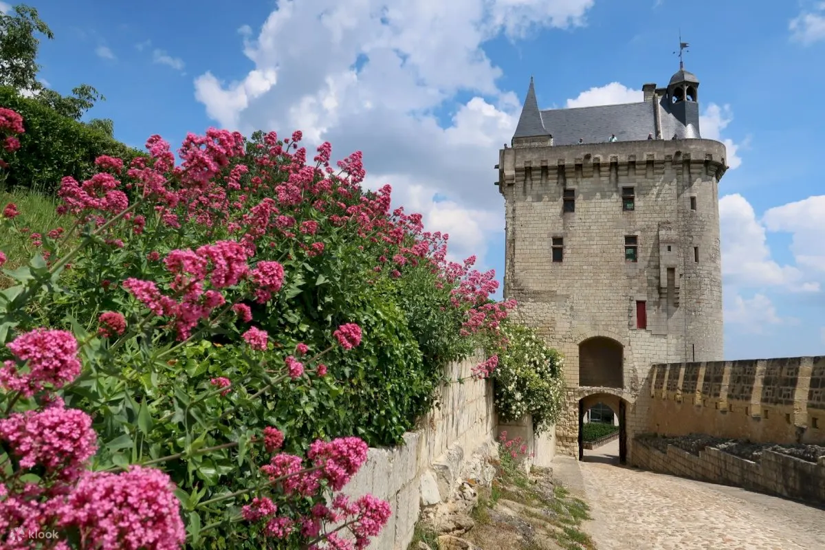 Loire Valley Full Day Wine Tour from Tours - Klook Canada