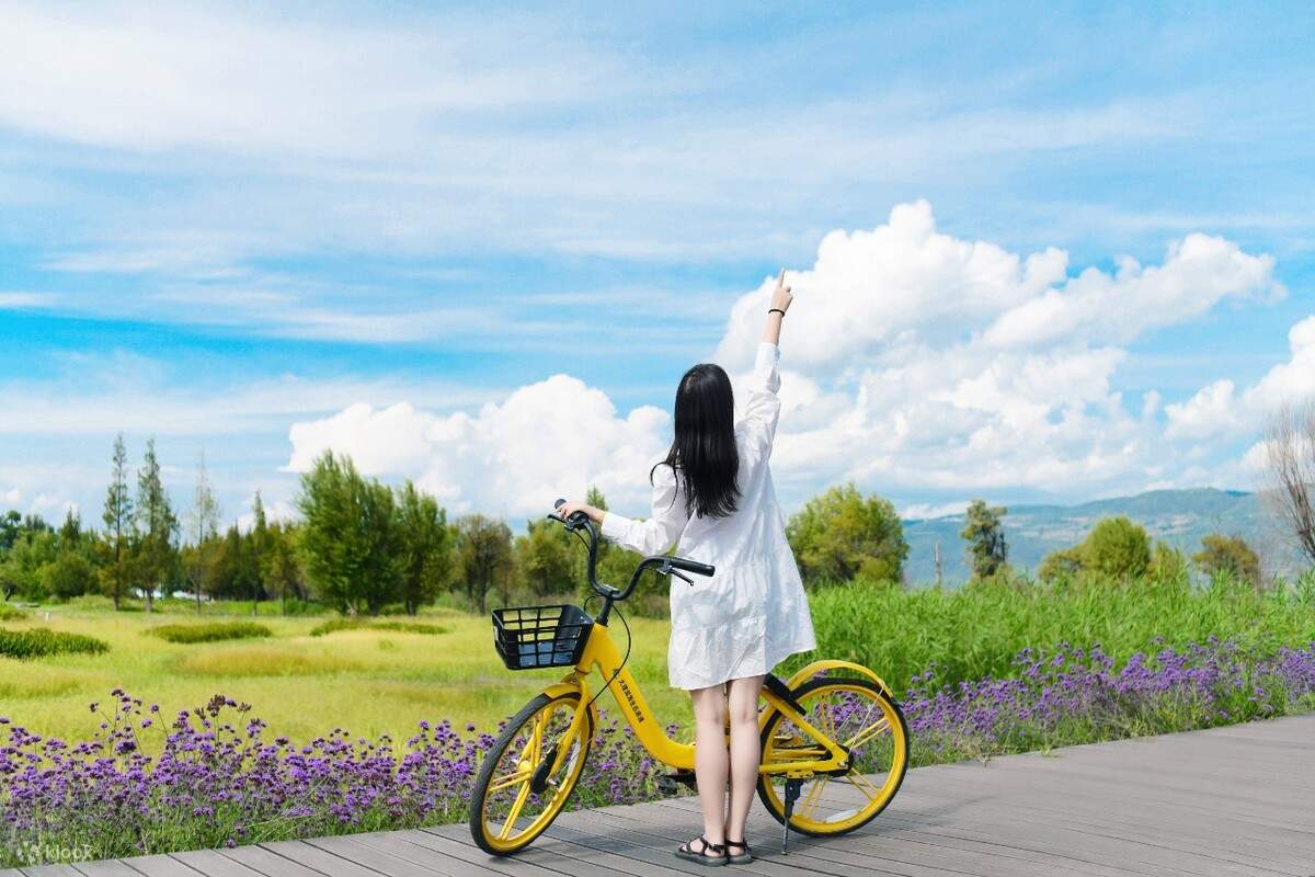 Yunye Tongqu Yunnan Dali Lijiang Shangri-La 6 days 5 nights parent ...
