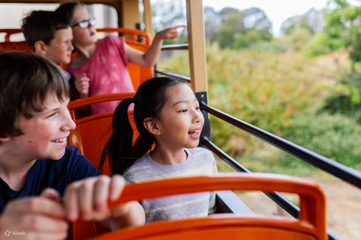 Werribee Open Range Zoo - Safari per bambini