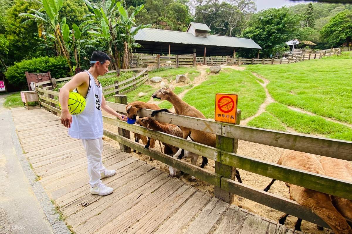 Miaoli Flying Cow Ranch Ticket