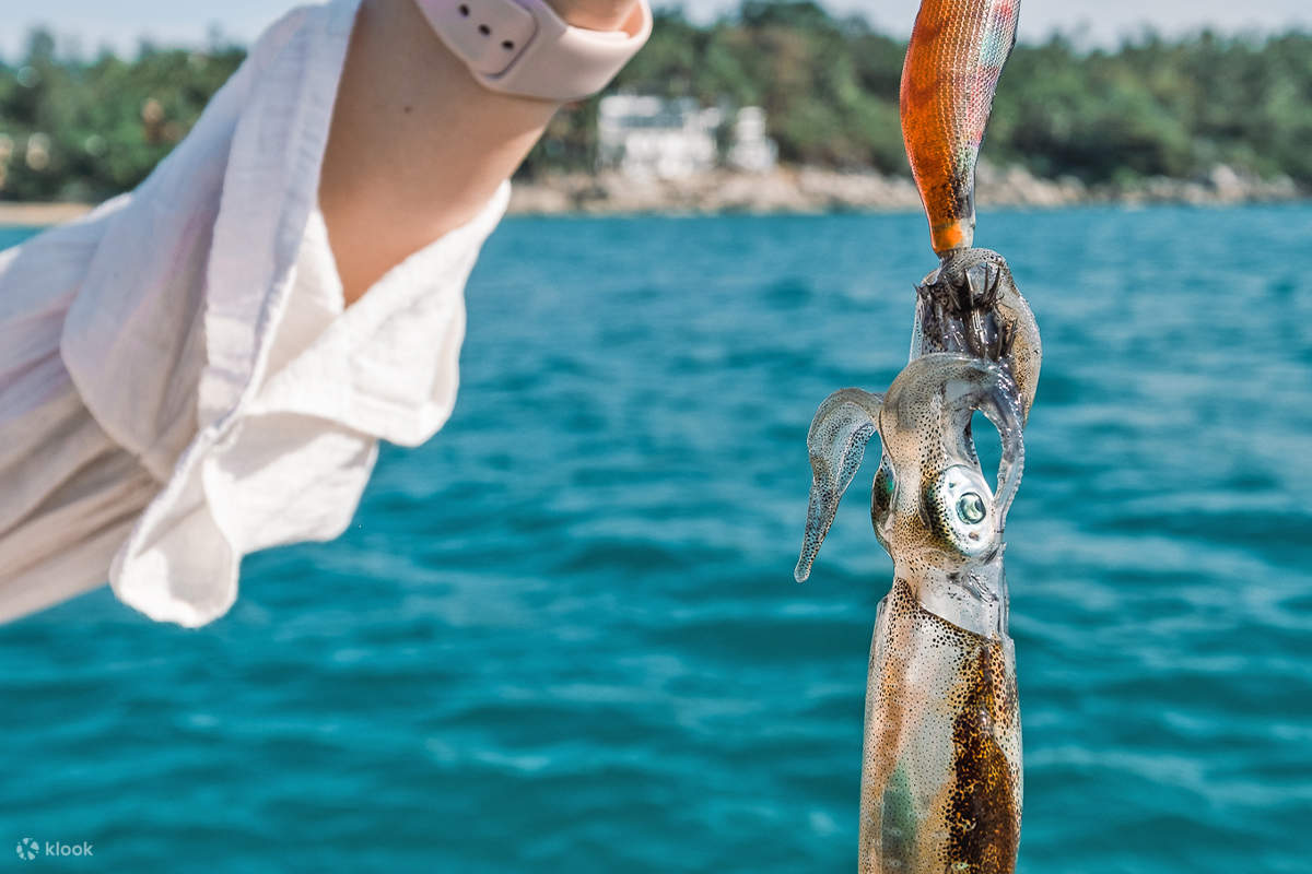 サトゥーンのリペ島でのプライベートロングテールボートによる釣りとイカ釣り | Klook