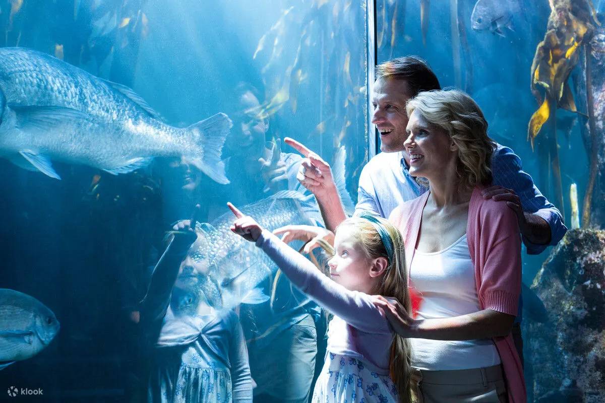 Family looking at fishes