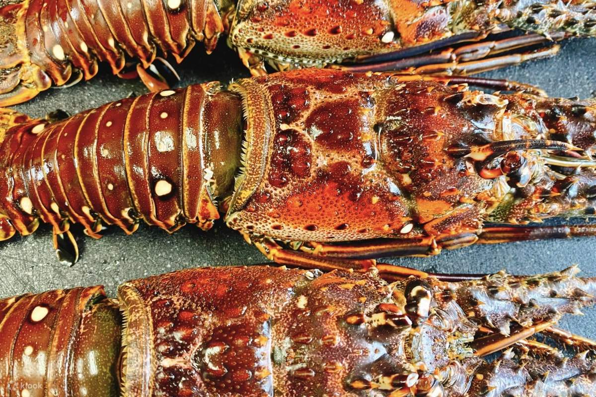 CHURAMI RUGUNCHU 선셋 테라스 BBQ - 오키나와