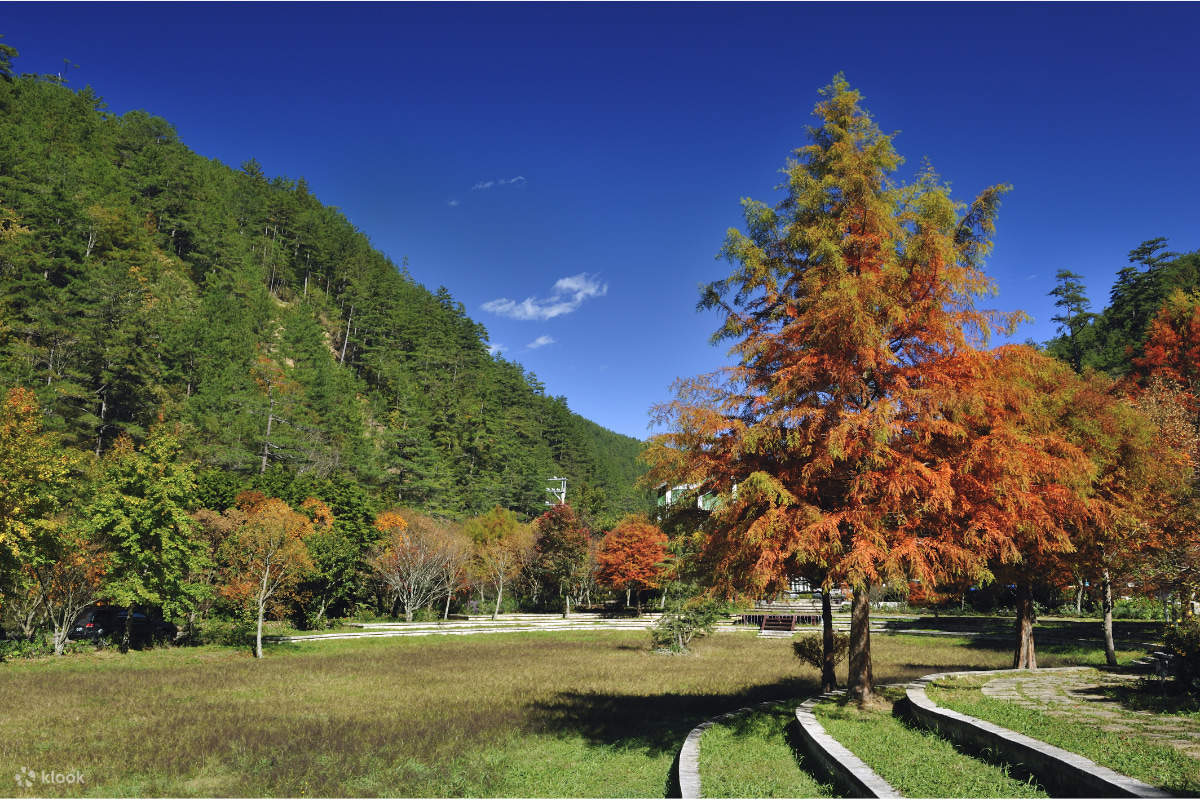 Taichung: Wuling Farm Day Tour (From Taipei) - Klook Philippines