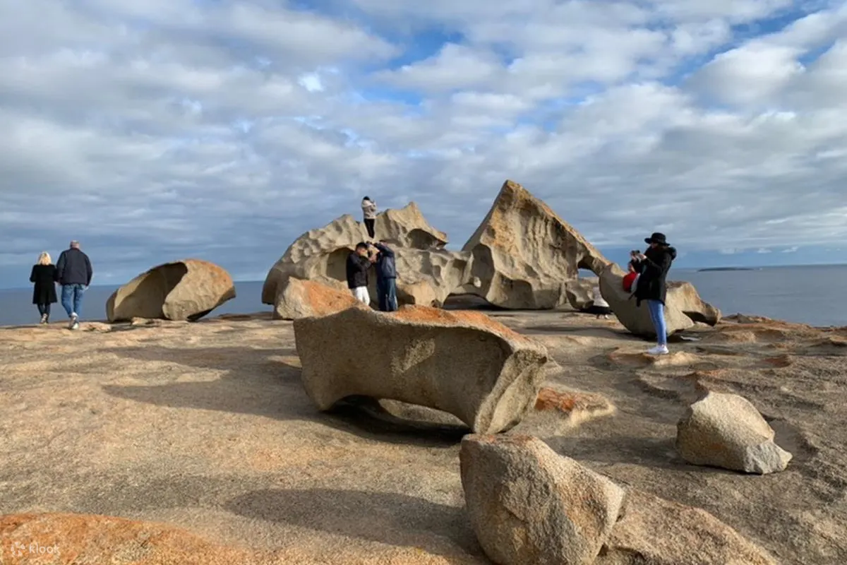 袋鼠岛之旅