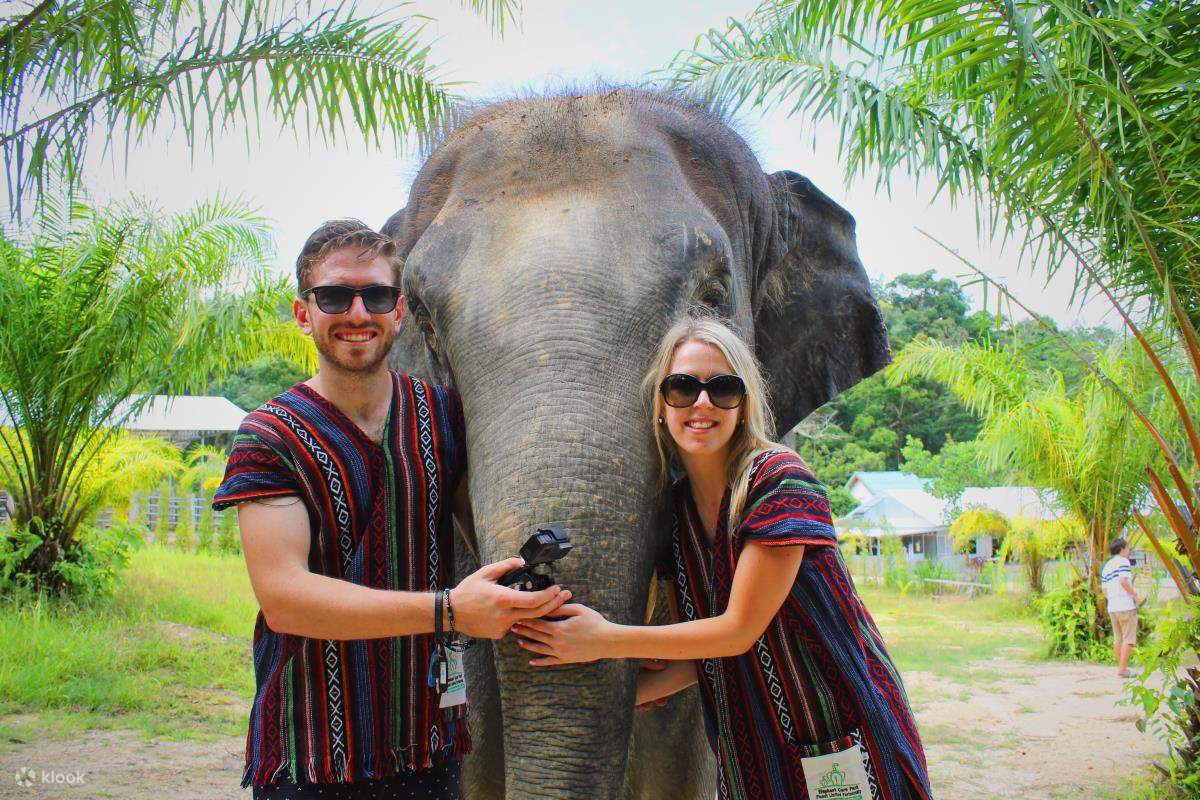 一对拥抱大象的夫妇