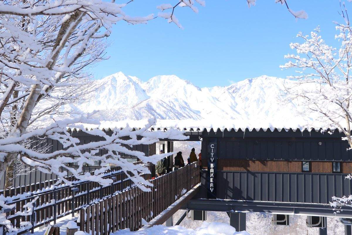 Hakuba Iwatake Snowfield 1-Day Lift Ticket + Gear & Ski Suits Rental