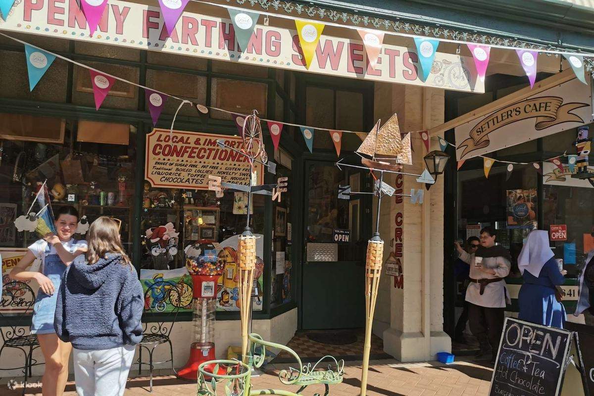 Wave Rock, York, Wildflowers & Aboriginal Culture Day Trip from Perth ...