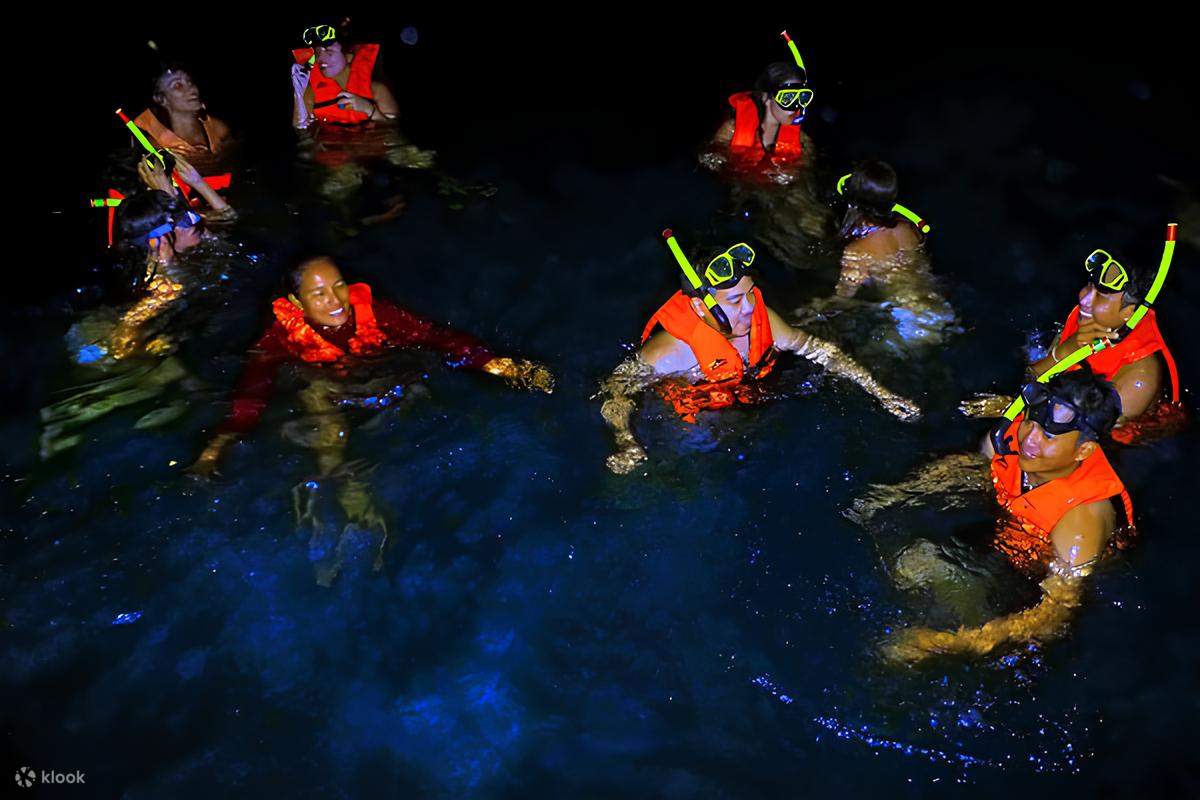 Experience stunning bioluminescence in a unique nighttime setting.