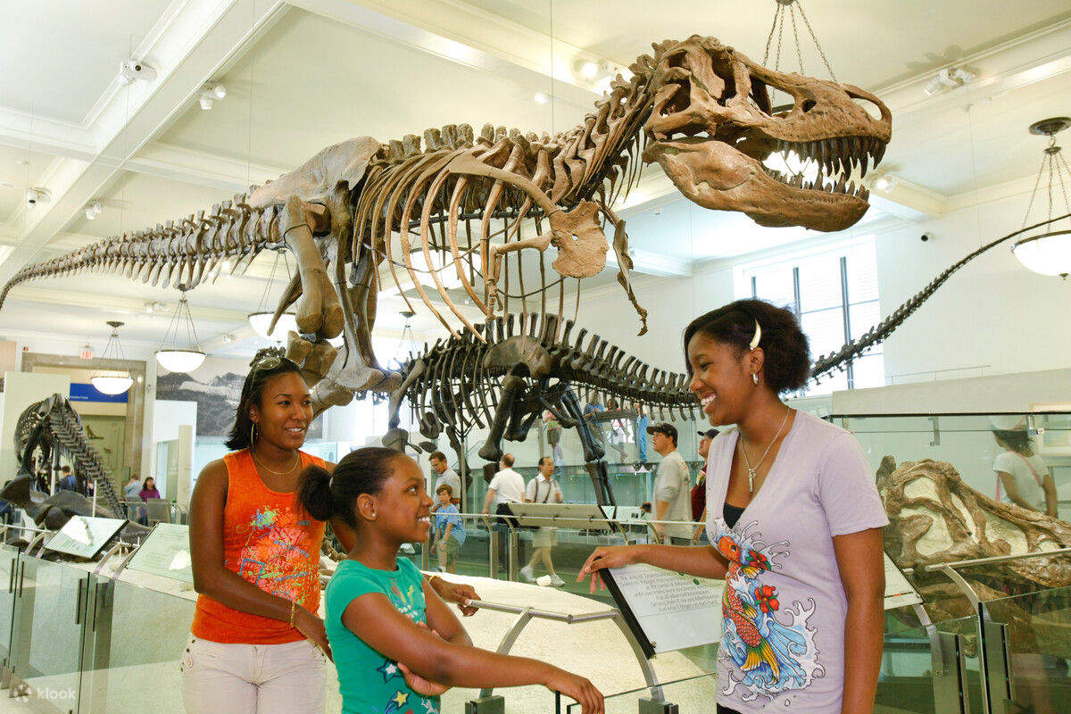 Museo Americano de Historia Natural