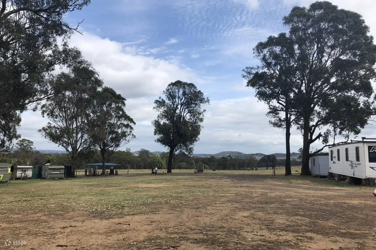 skydiving experience sydney