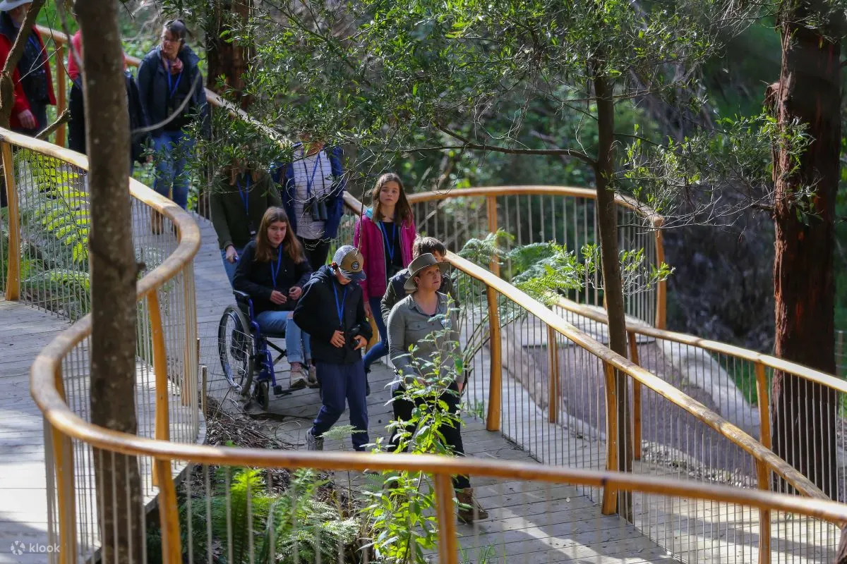 野生动物奇观是一种包容性的旅游体验。游览路线适合轮椅使用者，适合年轻人和老年人。