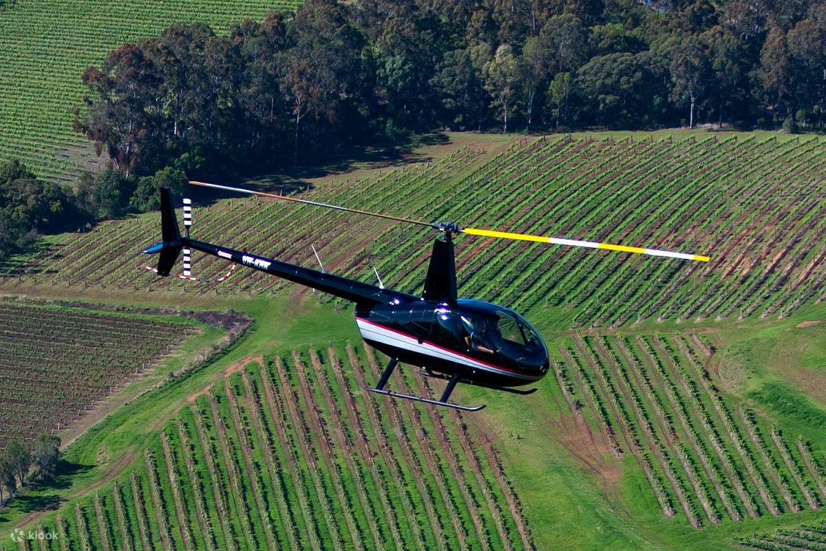 hunter valley helicopter wine tours