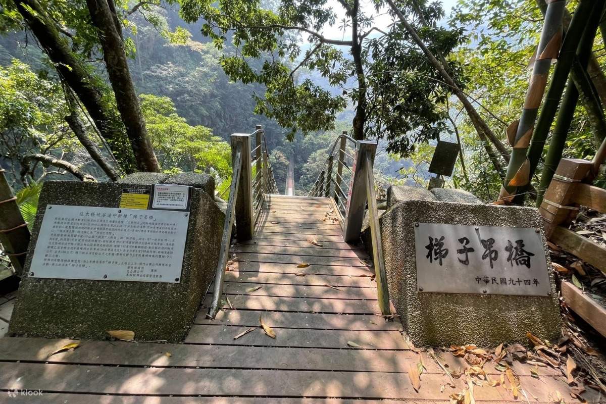 南投｜竹山文化公園・竹山スカイラダー｜チケット・パッケージ | Klook