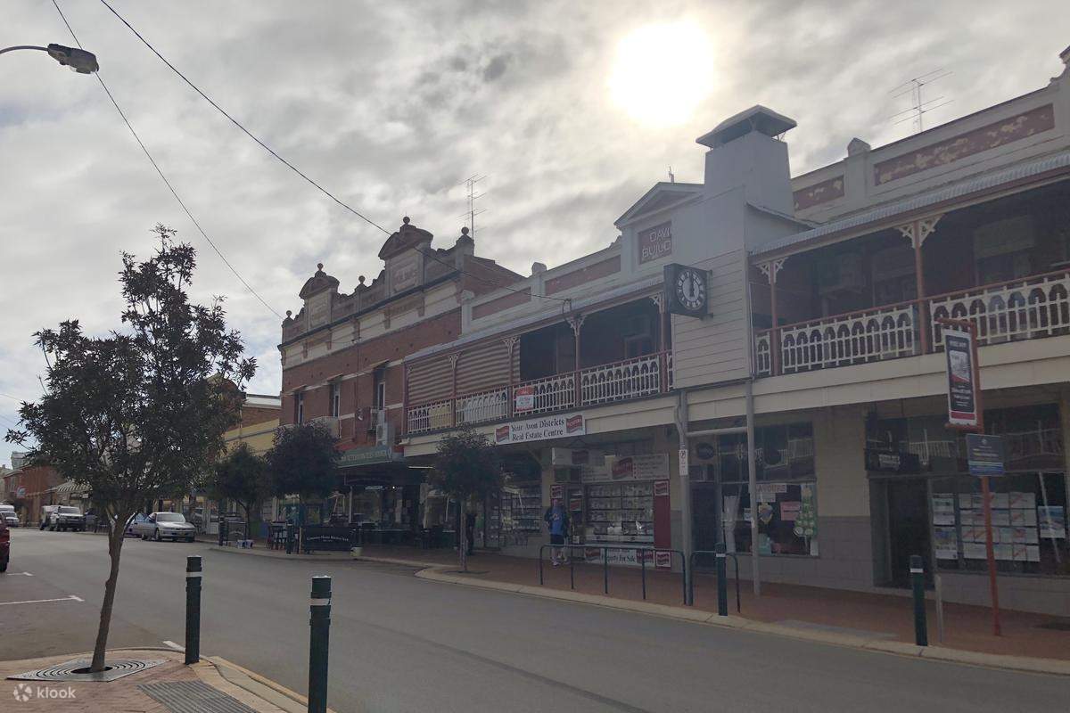 Wave Rock, York, Wildflowers & Aboriginal Culture Day Trip from Perth ...