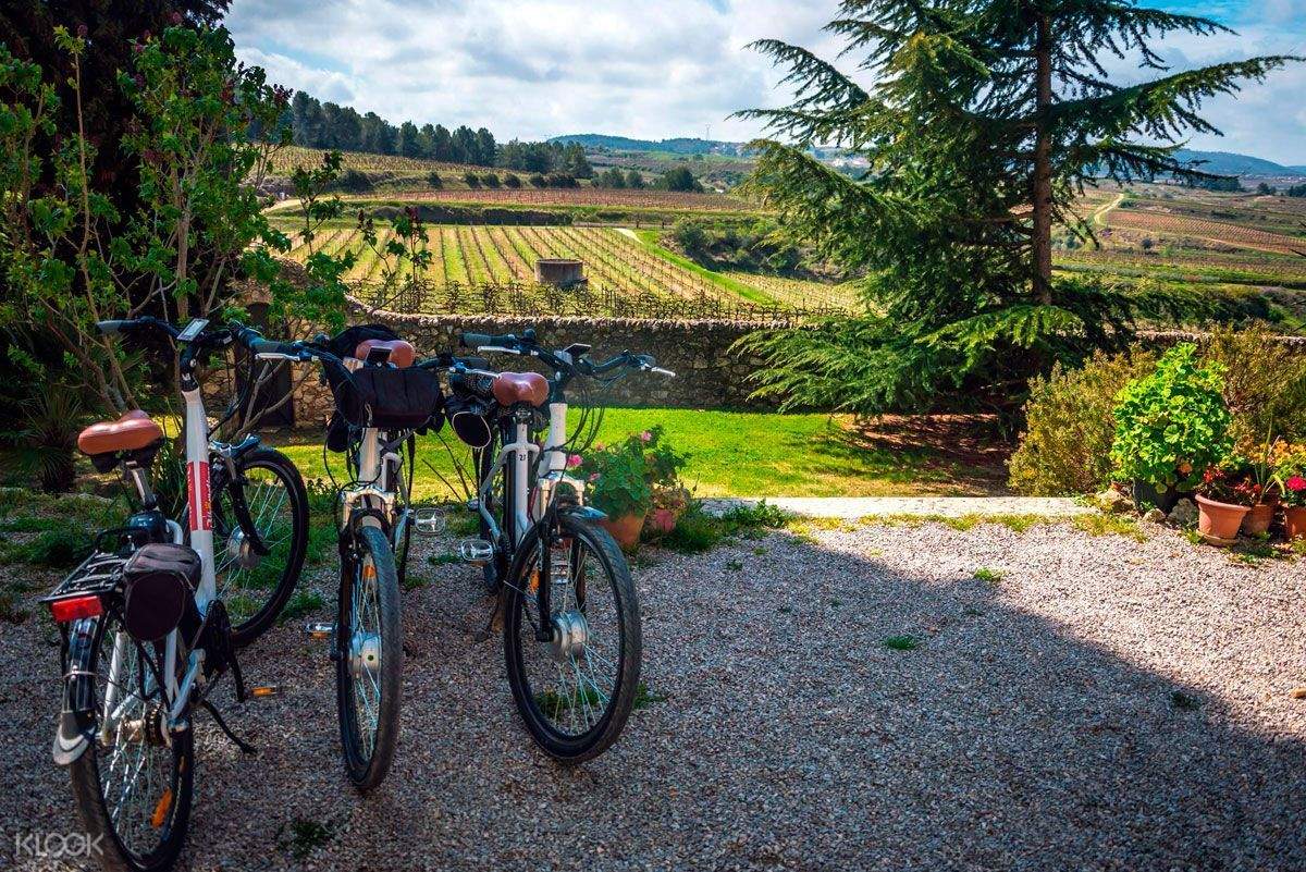 wine bike