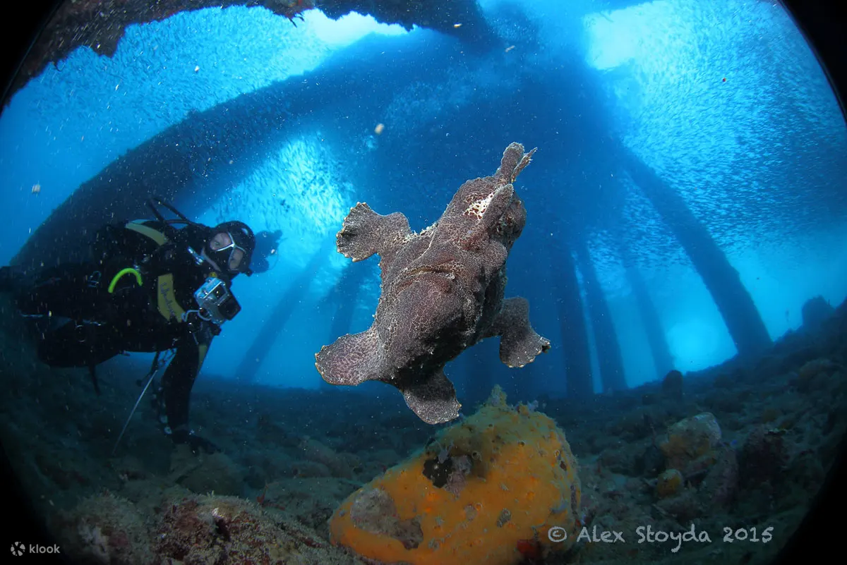 PADI 探索水肺潜水