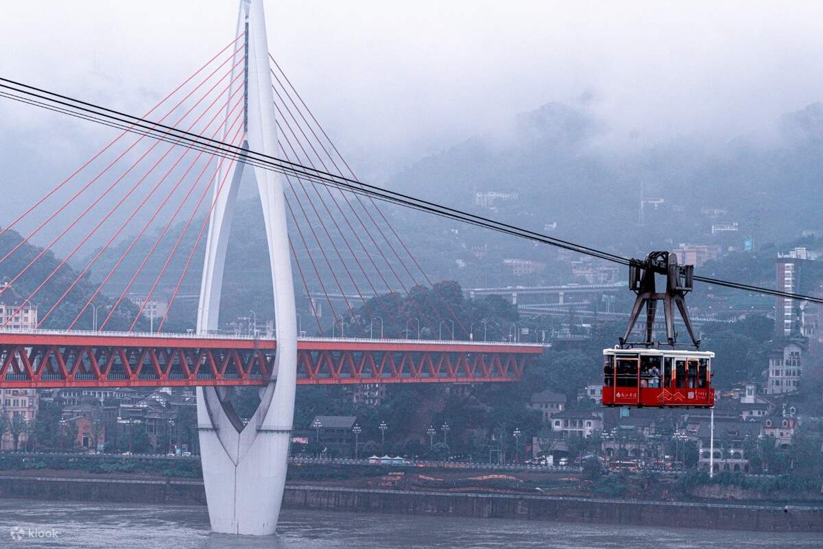 Chongqing 8-Hour Private Car Charter Day Tour