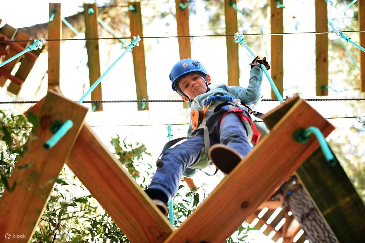 Treetops Adventure Yeodene Park Experiences Klook Hong Kong
