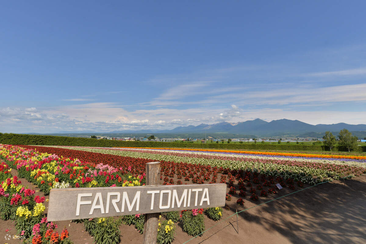 Peternakan Tomita Den