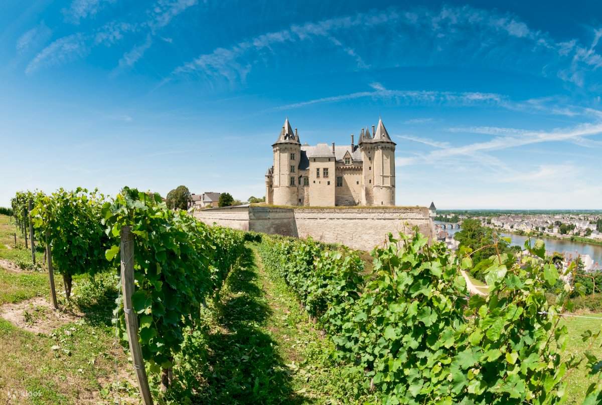 wine tours in loire valley france