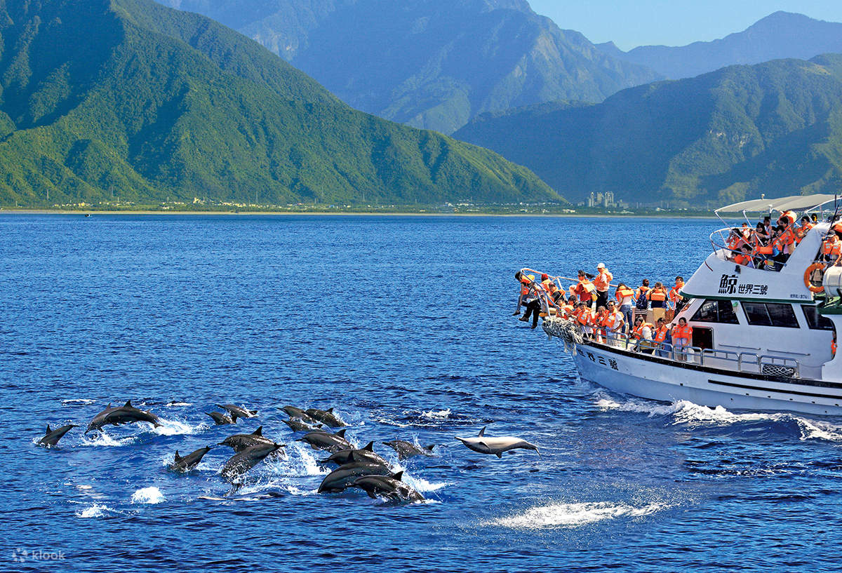 Hualien: Whale World Whale Watching Ecological Tour (Additional New Year's  Day Dawn Whale Watching Session) - Klook