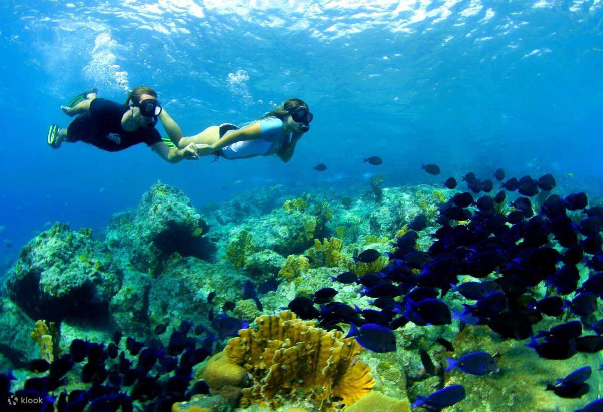 Gili Trawangan Snorkeling Experience in Lombok - Klook