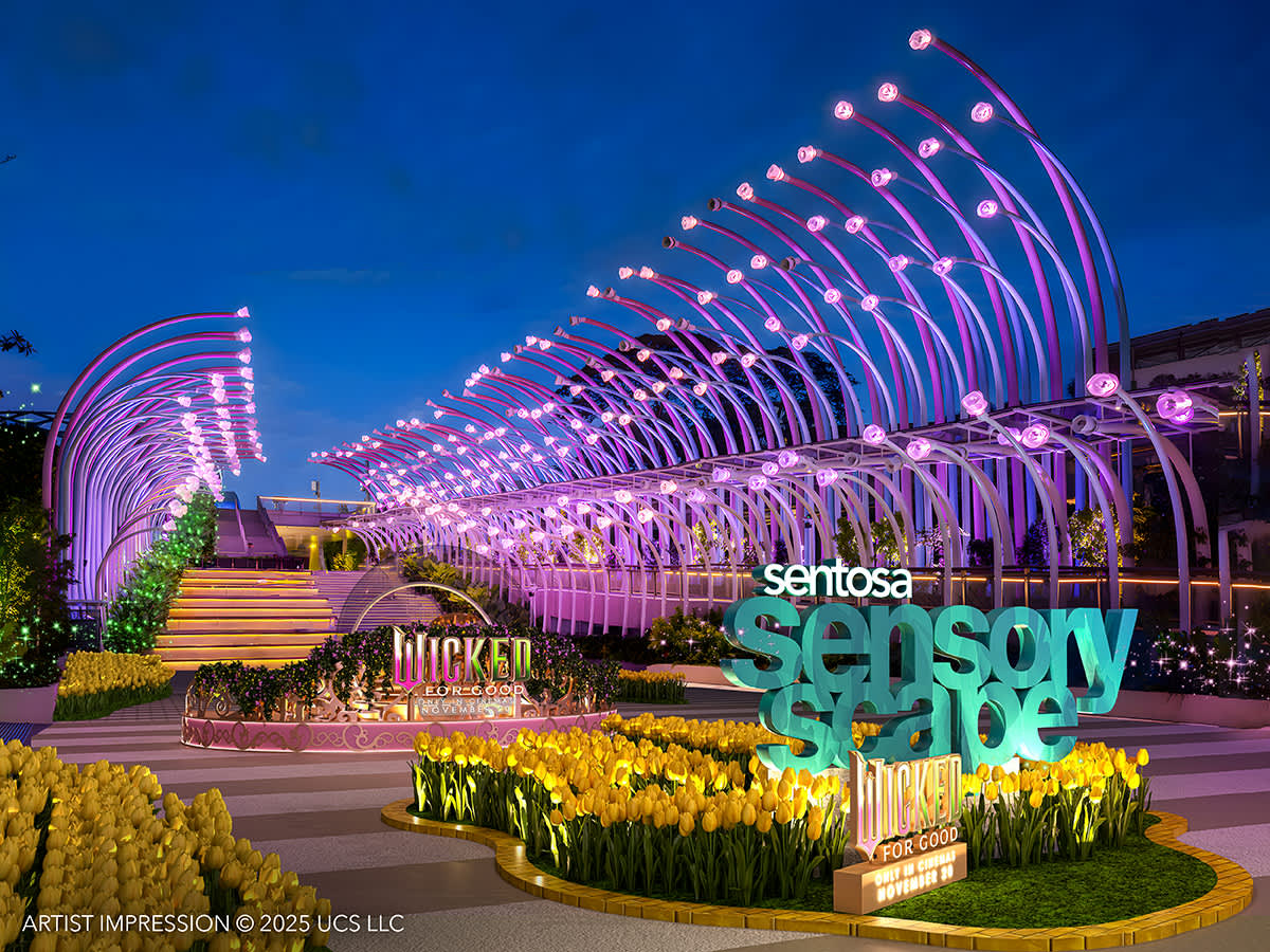 [Wicked: Yellow Brick Road] Một con đường kỳ diệu dưới những vì sao Sentosa