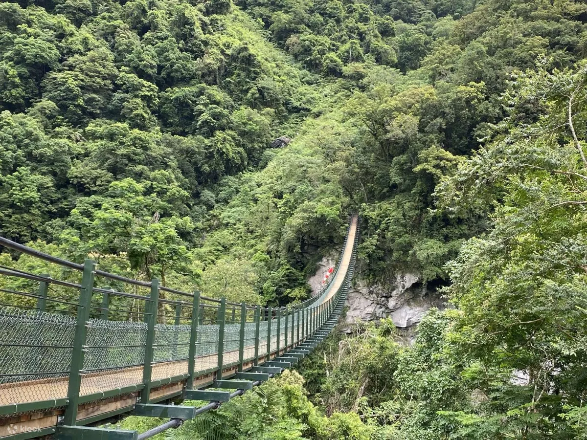 龙吟吊桥︱位在环溪步道及环山步道的交会点，座落着一条雄伟的龙吟吊桥