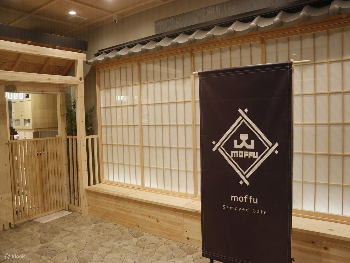 Trải nghiệm Samoyed: Đến gần hơn ở Harajuku 