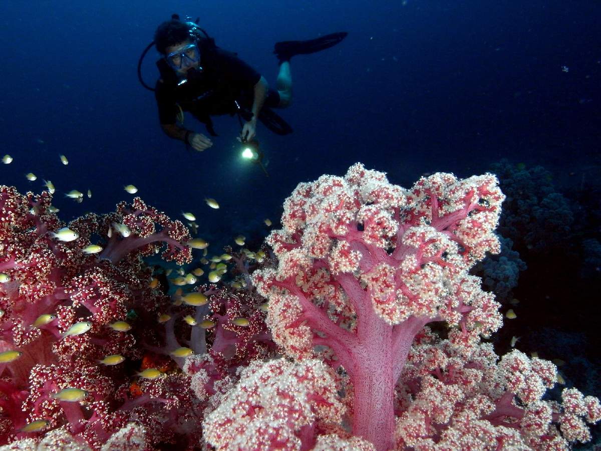 PADI Advanced Open Water Diver [eLearning]