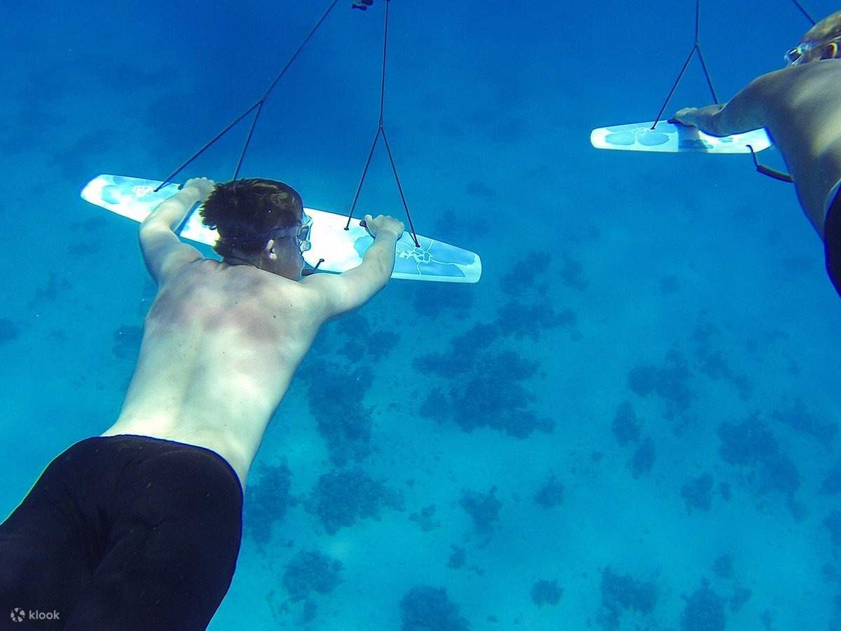 Water Ski and Sub Wing Adventure with Private Transfer - Hurghada