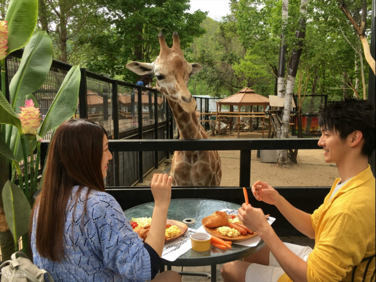 sapporo safari