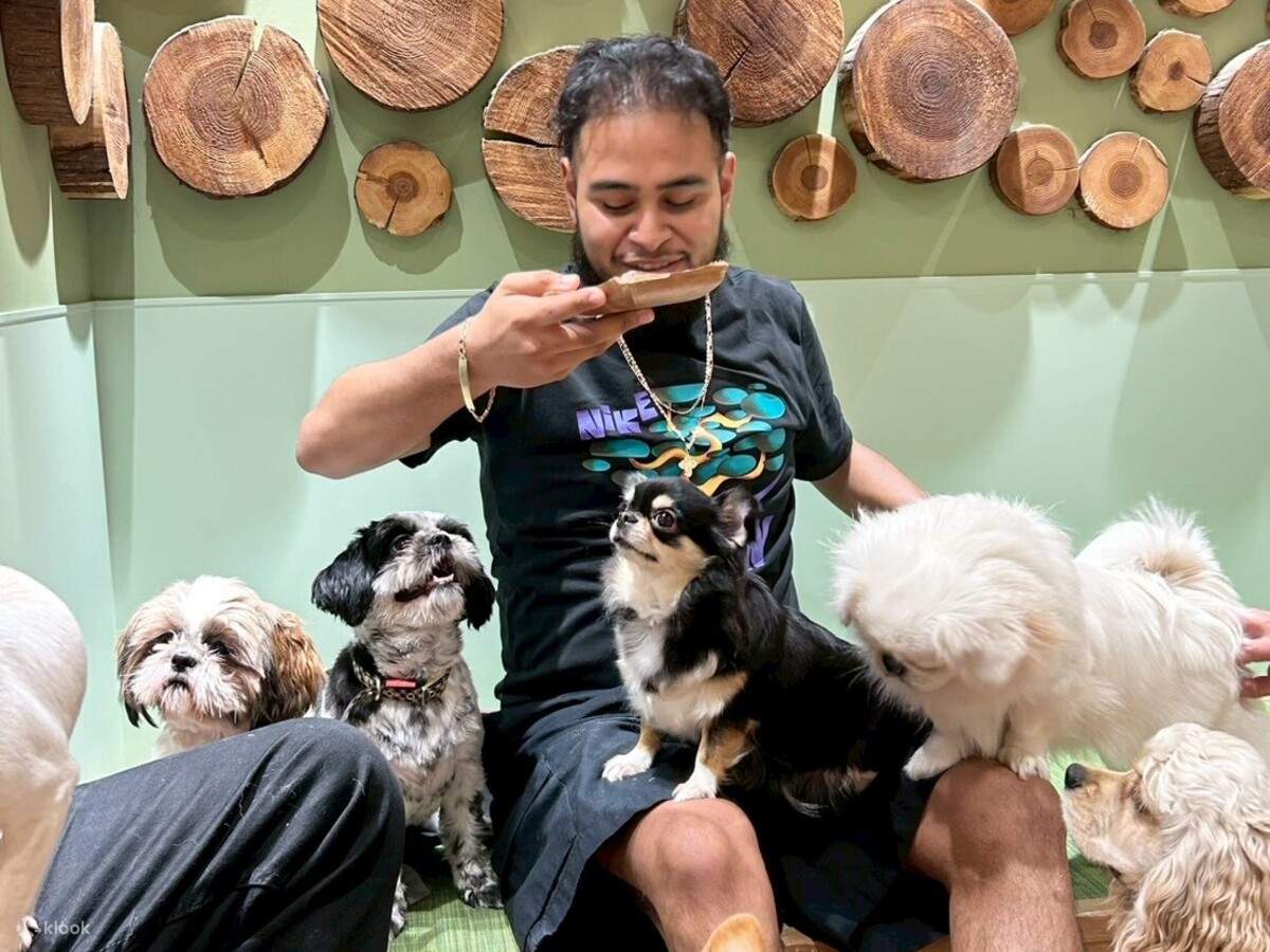 新宿 犬 カフェ
