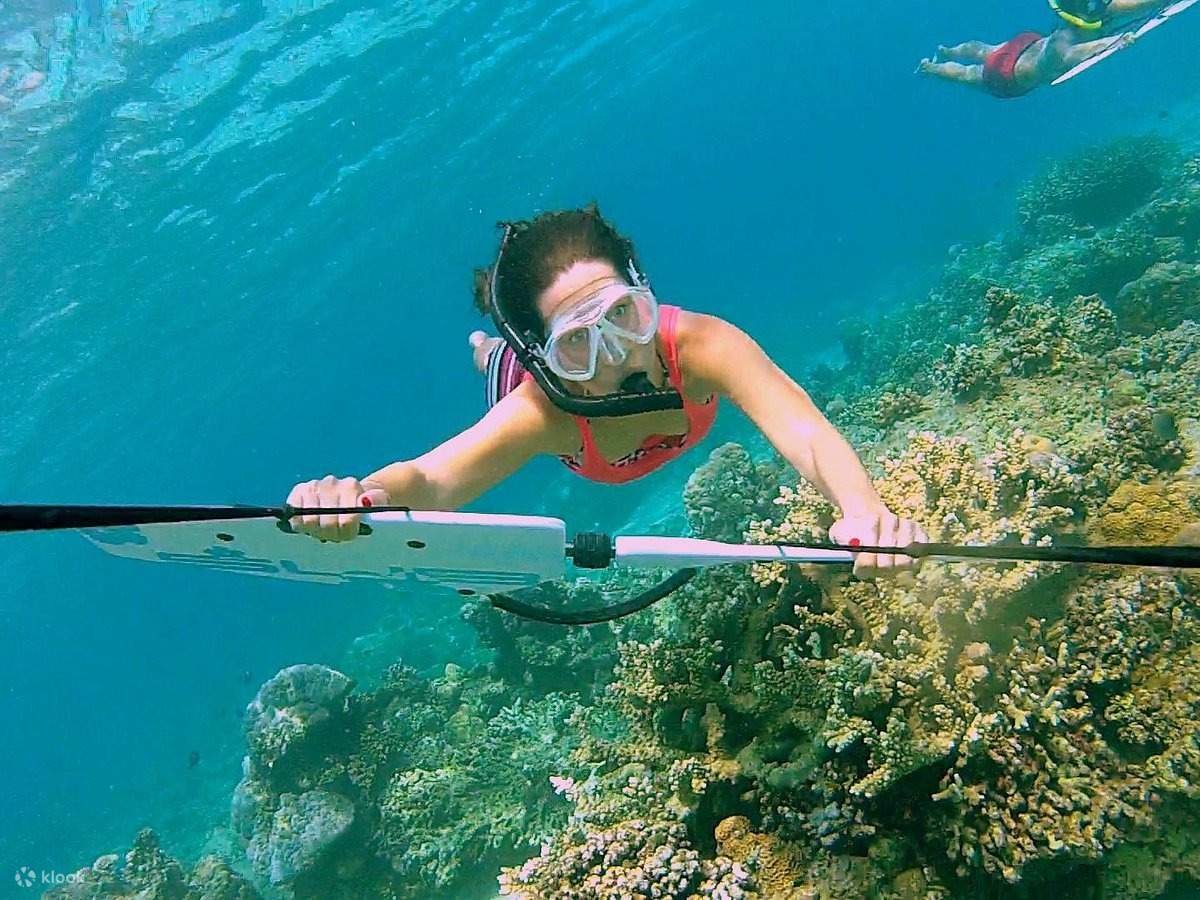 Water Ski and Sub Wing Adventure with Private Transfer - Hurghada