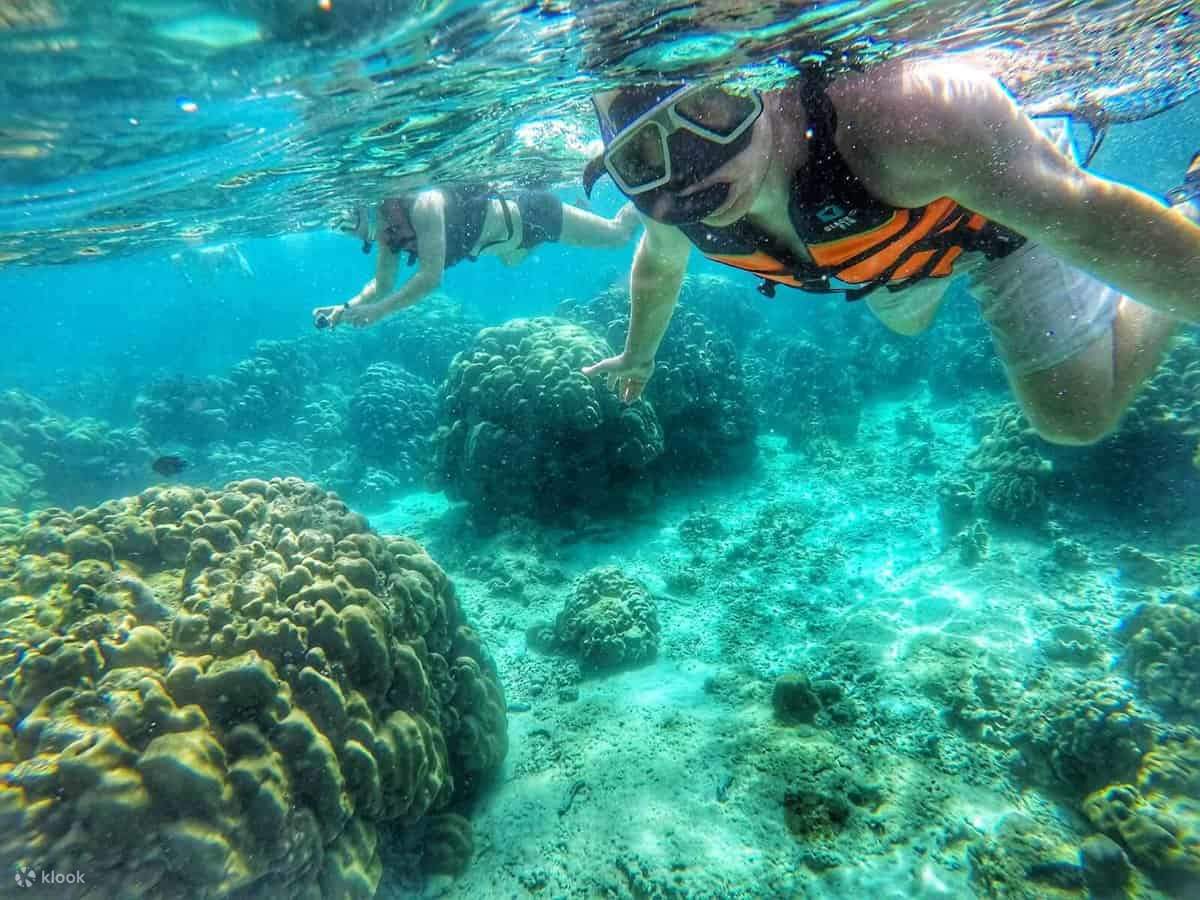 Explore Koh Tao Snorkel Tour In Koh Samui With PADI 5 Star Dive Center 