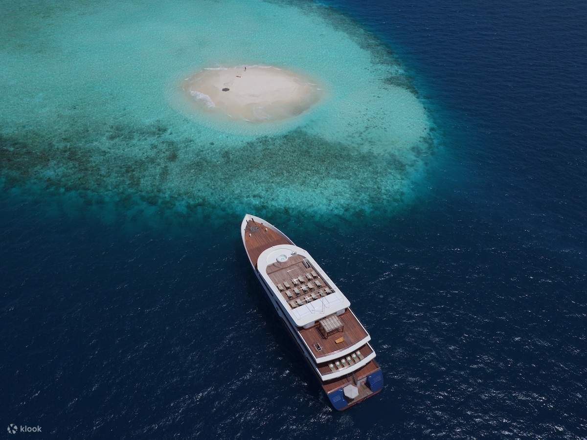 Marsa Alam - Tour đêm nhà cá heo Sataya 